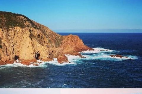 Half Day Phillip Island Woolamai Walking Tour - New South Wales Tourism  1