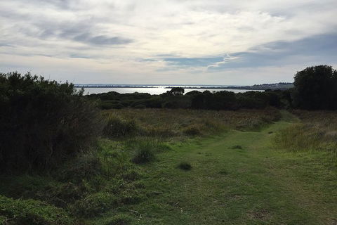 Half Day Phillip Island Woolamai Walking Tour - New South Wales Tourism  4