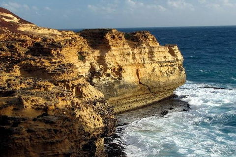 Half Day Phillip Island Woolamai Walking Tour - New South Wales Tourism  12