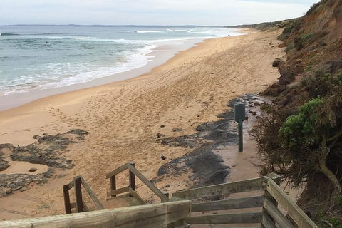 Half Day Phillip Island Woolamai Walking Tour - New South Wales Tourism  11