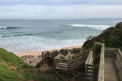 Half Day Phillip Island Woolamai Walking Tour - New South Wales Tourism  5
