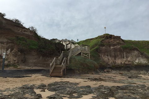 Half Day Phillip Island Woolamai Walking Tour - New South Wales Tourism  14