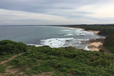 Half Day Phillip Island Woolamai Walking Tour - New South Wales Tourism  10