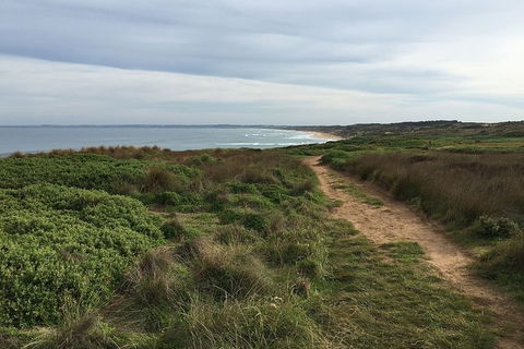 Half Day Phillip Island Woolamai Walking Tour - New South Wales Tourism  3
