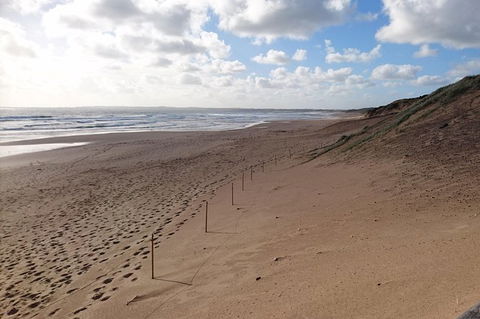 Half Day Phillip Island Woolamai Walking Tour - New South Wales Tourism  7