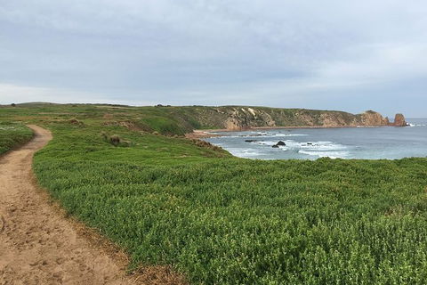 Half Day Phillip Island Woolamai Walking Tour - New South Wales Tourism  9