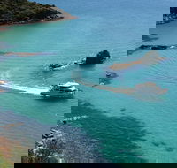 Cape Woolamai Sightseeing Cruise from San Remo - New South Wales Tourism 