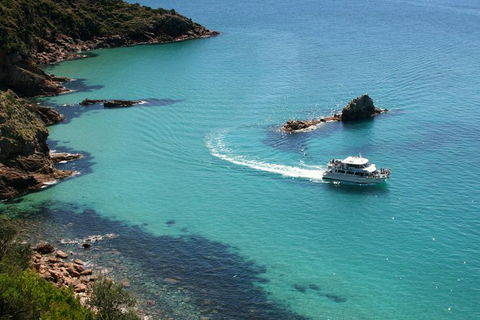 Cape Woolamai Sightseeing Cruise From San Remo - New South Wales Tourism  0