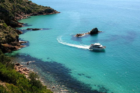 Cape Woolamai Sightseeing Cruise From San Remo - New South Wales Tourism  3