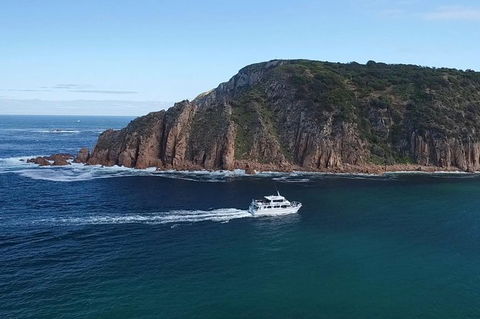 Cape Woolamai Sightseeing Cruise From San Remo - New South Wales Tourism  2