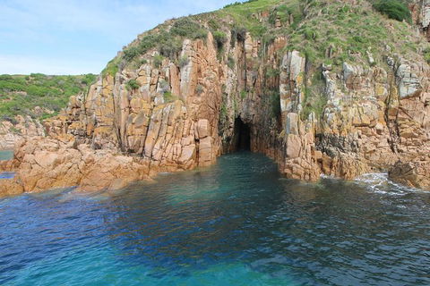 Cape Woolamai Sightseeing Cruise From San Remo - New South Wales Tourism  4