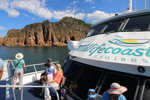Cape Woolamai Sightseeing Cruise From San Remo - New South Wales Tourism  9