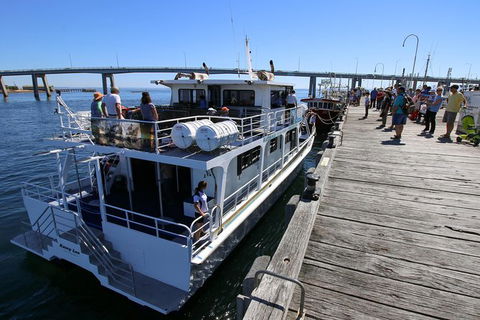Cape Woolamai Sightseeing Cruise From San Remo - New South Wales Tourism  7