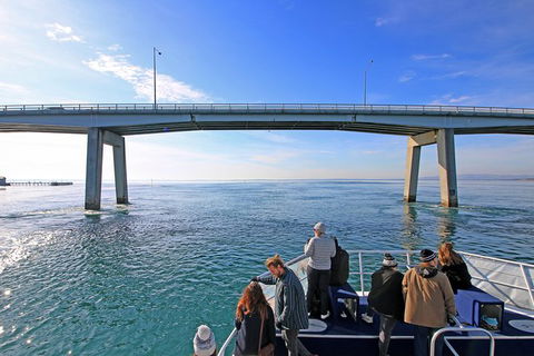 Cape Woolamai Sightseeing Cruise From San Remo - New South Wales Tourism  5