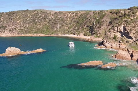 Cape Woolamai Sightseeing Cruise From San Remo - New South Wales Tourism  6