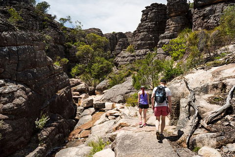 3-Day Melbourne To Adelaide Small-Group Tour Via Great Ocean Road Grampians - New South Wales Tourism  3