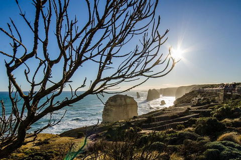 3-Day Melbourne To Adelaide Small-Group Tour Via Great Ocean Road Grampians - New South Wales Tourism  7
