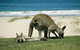 Great Ocean Road Full Coastal Tour - 3 Days, 2 Nights - thumb 12