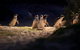 Melbourne City Tour And Phillip Island In One Day - thumb 6