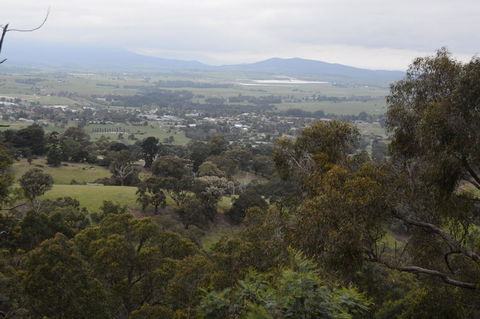 Yarra Valley Wine & Food Day Tour From Melbourne With Lunch At Yering Station - New South Wales Tourism  2