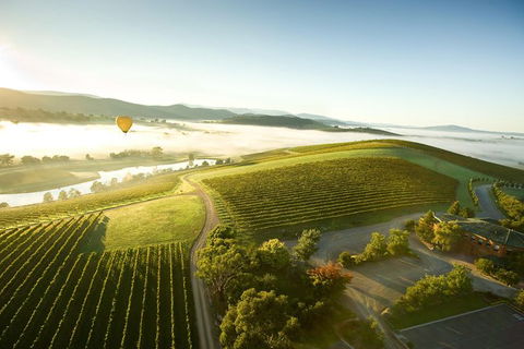 Yarra Valley Wine & Food Day Tour From Melbourne With Lunch At Yering Station - New South Wales Tourism  10