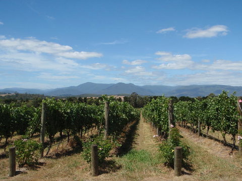 The Ultimate Yarra Valley Food And Wine Small Group Tour (Max 6 Guests) - New South Wales Tourism  7