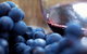 The Ultimate Yarra Valley Food And Wine Small Group Tour (Max 6 Guests) - thumb 17