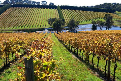 Small Group 6 Guests: Ultimate Mornington Peninsula Food And Wine - New South Wales Tourism  3