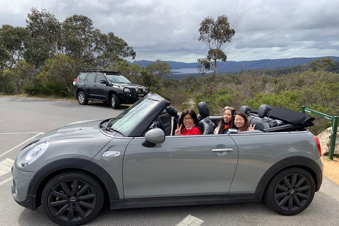 Yarra Valley Winery Tour In A Luxury Vehicle - New South Wales Tourism  5