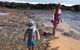 Phillip Island & Penguin Parade - thumb 1