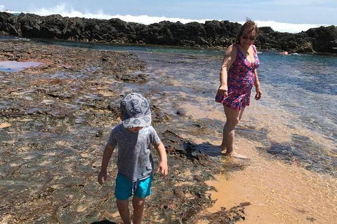 Phillip Island & Penguin Parade - New South Wales Tourism  1