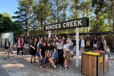 Phillip Island & Penguin Parade - New South Wales Tourism  26