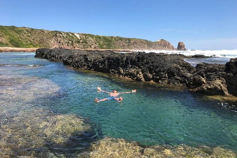 Phillip Island & Penguin Parade - New South Wales Tourism  12
