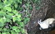 Phillip Island & Penguin Parade - thumb 7