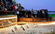 Phillip Island Medium Size Group Tour - thumb 1