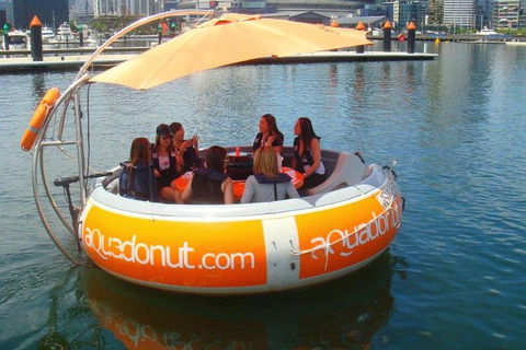Aquadonut BBQ Boat Hire - New South Wales Tourism  0