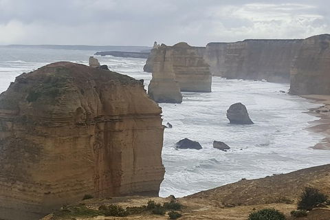 Luxury Private Day Tours (Great Ocean Rd, Phillip Island ,Yarra Valley) - New South Wales Tourism  0