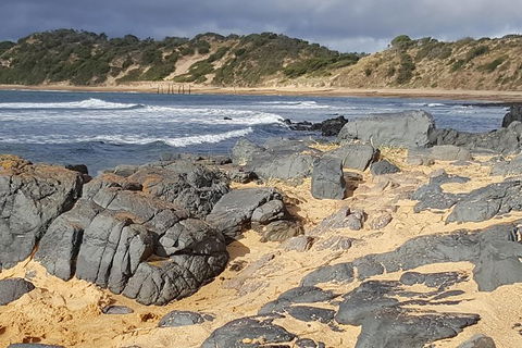 Luxury Private Day Tours (Great Ocean Rd, Phillip Island ,Yarra Valley) - New South Wales Tourism  1