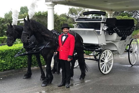 Melbourne Horse Drawn Carriages 30 Minute City Tour - New South Wales Tourism  1