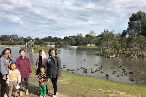 Phillip Island Penguins Private Tour - New South Wales Tourism  11
