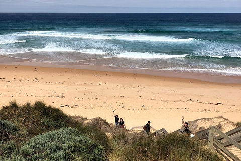 Phillip Island Penguins Private Tour - New South Wales Tourism  4