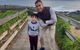 Phillip Island Penguins Private Tour - thumb 5