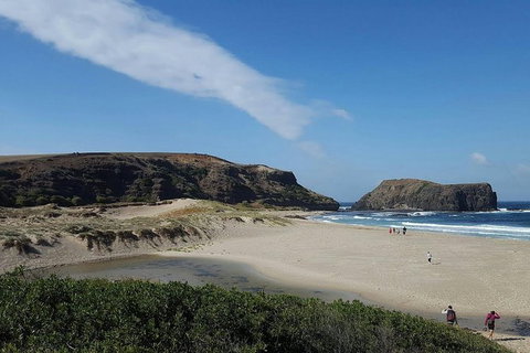 Mornington Peninsula Hike & Hot Springs Tour - New South Wales Tourism  1