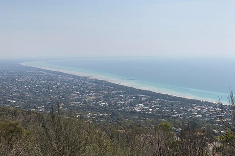 Mornington Peninsula Vegan Food Day Tour - New South Wales Tourism  1