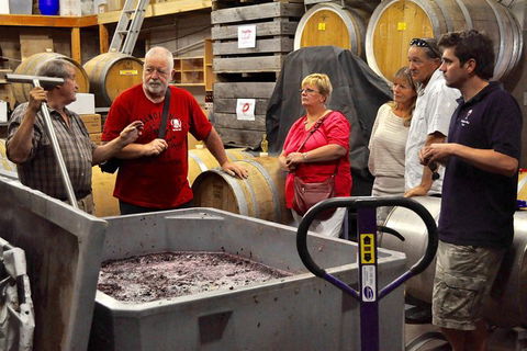 5 Hour Private Wine Tour - New South Wales Tourism  0