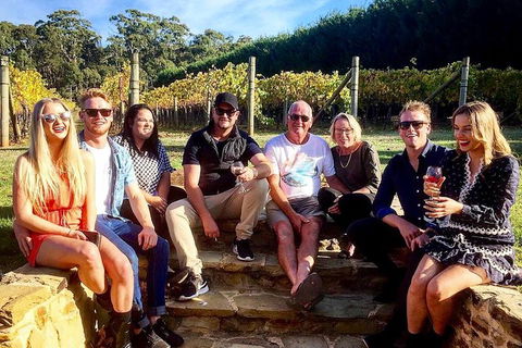 5 Hour Private Wine Tour - New South Wales Tourism  5