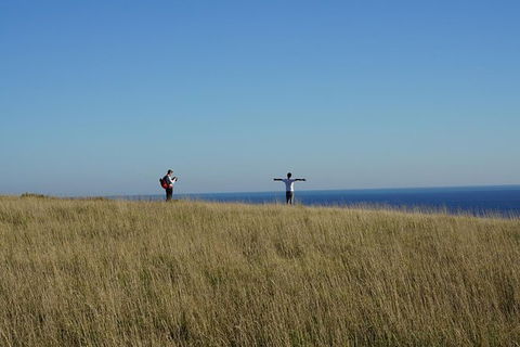 Phillip Island Penguin Parade And George Bass Coastal Walk - New South Wales Tourism  0