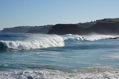 Phillip Island Penguin Parade And George Bass Coastal Walk - New South Wales Tourism  11