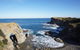 Phillip Island Penguin Parade And George Bass Coastal Walk - thumb 7