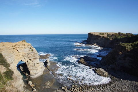 Phillip Island Penguin Parade And George Bass Coastal Walk - New South Wales Tourism  7